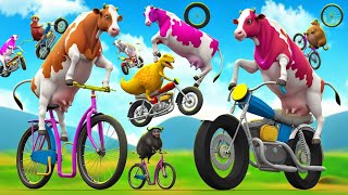 Funny Color Cows Racing to Victory Hilarious Bike amp Truck Challenges  Cow Cartoon Adventure [upl. by Mcconaghy]