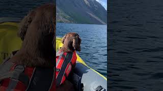 INFLATABLE KAYAK at Wast Water in the Lake District with Dog  Kayak or Paddleboard  Roseanna [upl. by Nosirrag]