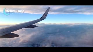 BEST Baby Sleep Sound Airplane Cabin Flight Sound  White Noise  1 Hour  P [upl. by Schertz]