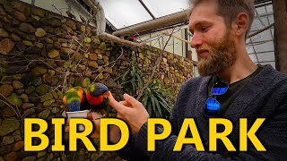 Bird Park Weltvogelpark Walsrode 4K [upl. by Pauiie]