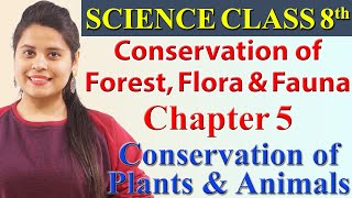 Conservation of Forest Flora amp Fauna Chapter 5 Conservation of Plants amp Animals  Science Class 8 [upl. by Towill]