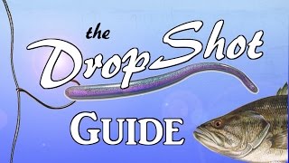 DROPSHOT Guide  The Most Effective Rig in Bass Fishing [upl. by Lerual]