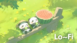 Peaceful Meadow 🍀 Lofi Healing Your Soul  Chill Lofi Hip Hop Mix for Study  Work  Focus  Sleep 🍃 [upl. by Ymmik]