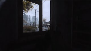 STALKER AI is scarily smart [upl. by Raleigh]