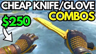 BEST CHEAP CS2 KNIFE amp GLOVE COMBOS in 2024 BUDGET KNIFE  GLOVES COMBO Under 350 [upl. by Ydne]