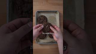 Double Chocolate Chip Cookies [upl. by Anidal]