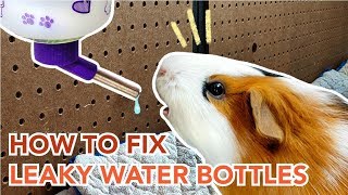 How to Maintain and Prevent Leaks in Guinea Pig Water Bottles  GuineaDad [upl. by Gnil]