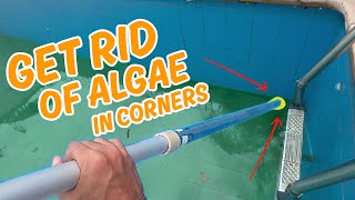 How to remove pool algae with a DIY pool cleaner that reaches every nook [upl. by Ailugram]