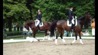 Pfingstturnier Wiesbaden 2010 Hyperflexion Rollkur Dressage [upl. by Hyams]