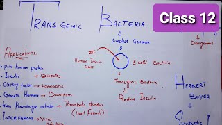 Transgenic BacteriaTransgenic PlantsAdvantages of transgenic bacteriaGMOs [upl. by Eikkin483]