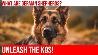 How to Train a German Shepherd Police Dog Ultimate K9 Guide [upl. by Gord]