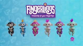 Les fingerlings débarquent chez JouéClub [upl. by Femmine581]