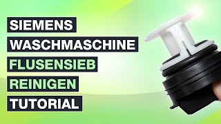 Flusensieb reinigen Siemens Waschmaschine  Anleitung IQ300 und vergleichbare Modelle  Testventure [upl. by Raji550]