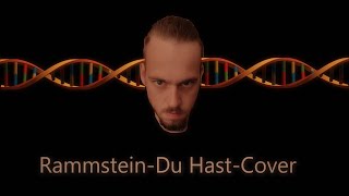 Rammstein  Du Hast Cover [upl. by Ennovyhs452]