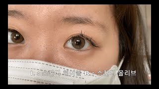 비교영상 스칸디 헤이즐 vs 스칸디 올리브  OLENS SCANDI HAIZEL vs OLENS SCANDI OLIVE Color Contact Lens Review [upl. by Dupuis]