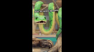 GLI ANIMALI DOPO LE VACANZE 😂 LEO 🦎 Netflix DOPOSCUOLA [upl. by Hpseoj802]