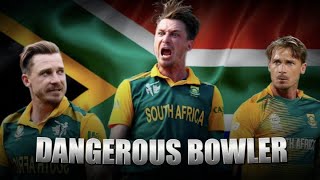 Why Dale Steyn was the Perfect Bowler [upl. by Soluk292]