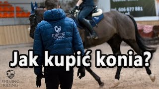 Kupno konia Jak wybrać i kupić konia [upl. by Nnaeiram]