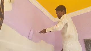 Home Colour Paint  vlog dailyvlog viral [upl. by Sarat789]