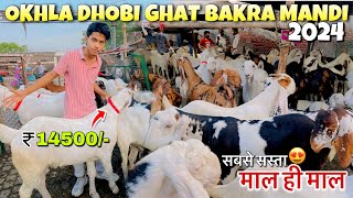 Okhla Dhobi Ghat Bakra Mandi 2024 Latest Update सबसे सस्ती बकरा मंडी  Dhobi Ghat Bakra Mandi Delhi [upl. by Rett111]