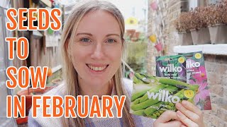 SEEDS TO SOW IN FEBRUARY 2024  ALLOTMENT GARDENING FOR BEGINNERS [upl. by Teirtza]