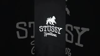 Oversized hooded sweatshirt from Stüssy [upl. by Pan]