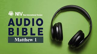 Matthew 1 NIV AUDIO BIBLE ENG [upl. by Dorraj]