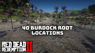 40 Burdock Root Locations in Red Dead Redemption 2 [upl. by Buck]