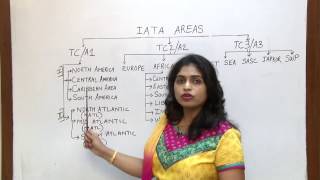 IATA Areas of the World [upl. by Siddra]