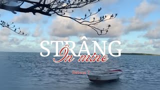 Rebeca T  Strâng în mine  Official Lyric Video [upl. by Ecirrehs]