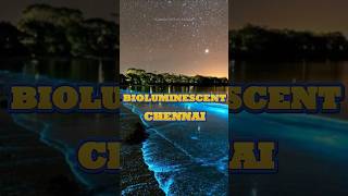 சென்னை Bioluminescent sambavam ECR Beaches chennai viral tamil bluebeach light travel algae [upl. by Adnuahs]