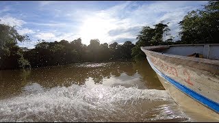 Living with the Ticuna Tribe in Colombian Amazonas 2019 [upl. by Nnahs]