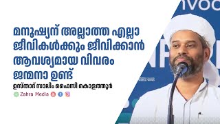 ഉസ്താദ് സാലിം ഫൈസി കൊളത്തൂരിൻ്റെ പ്രസംഗം salimfaizykolathur [upl. by Labotsirhc]