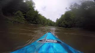 Kayak the Nottawasaga River [upl. by Tdnerb]