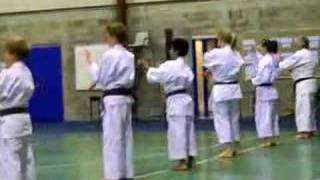 GKR karate combinations training [upl. by Acalia]