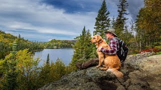 Mushroom HUNTING in the FOREST at the Off Grid LOG CABIN [upl. by Ameer]