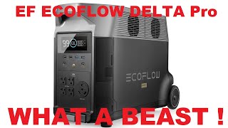 ECOFLOW DELTA PRO 3600w Solar Generator Smart Extra Battery Portable Power Station Review [upl. by Dnalhsa]