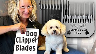 Dog Grooming Clipper BladesEverything You Need to Know [upl. by Dugan]