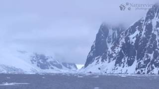 The Antarctic Peninsula  Polar Paradise [upl. by Birdella]