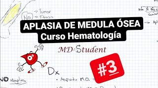 ¿Qué es la Aplasia Medular 🩸  Curso Hematología 3 [upl. by Innad]