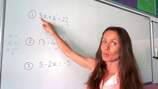 The Maths Prof Solving Linear Equations part 1 [upl. by Schellens]