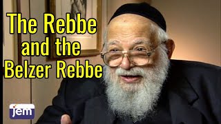 The Rebbe Meets The Belzer Rebbe In Berlin  Interview [upl. by Aiblis]