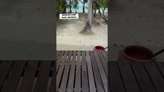 Medhufushi island resort maldives youtubeshorts youtube honeymoon couple climatechange love [upl. by Launam]