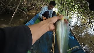 MANCING IKAN LAIS DAN MENGANGKAT JEBAKAN IKAN BESAR [upl. by Batty197]