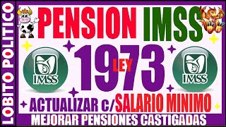 701💜PENSIÒN IMSS LEY 1973 😃👍 méxico imss pension [upl. by Neellok405]