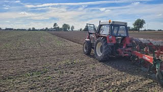 🔥Klimatyczna orka pod pszenicę 2024🔥Zetor 10145 vs Kverneland LD100🔥 [upl. by Lina]