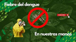 Preventir el Dengue es Más Fácil de lo que Piensas [upl. by Noxaj]