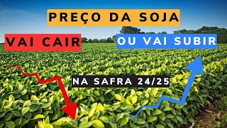 Como estar preparado para o mercado de soja 2425 [upl. by Anitsim]