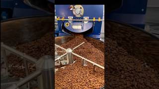 Do you know how cocoa beans are processed agriculture cocoa seeds farming reggae music [upl. by Niret]