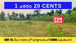 LOW PRICE 1 ACRE 20 CENTS FOR SALE [upl. by Salomo776]